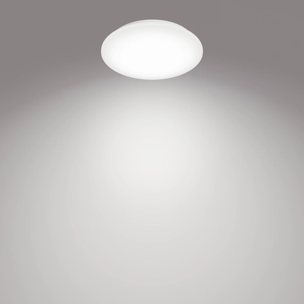 Philips Fonctionnel Plafonnier Moire 10 W