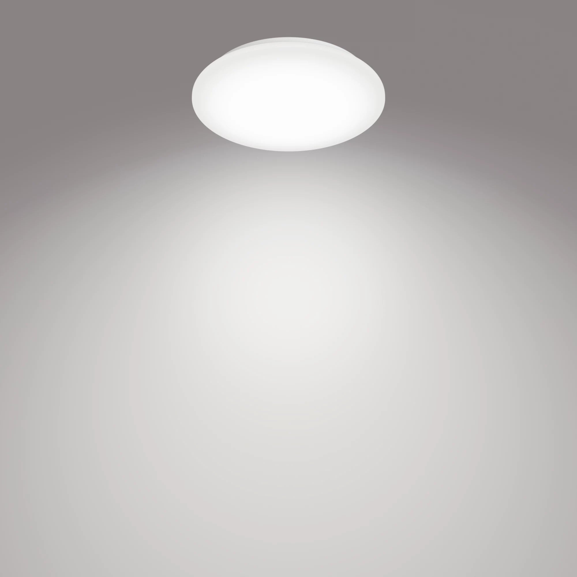 Philips Fonctionnel Plafonnier Moire 10 W