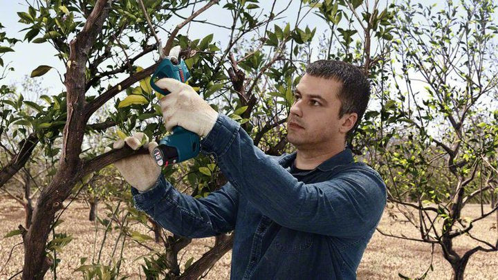 Bosch Bosch Pro Pruner Professional cisaille sans fil 2,5 cm 12 V Lithium-Ion (Li-Ion) Bleu