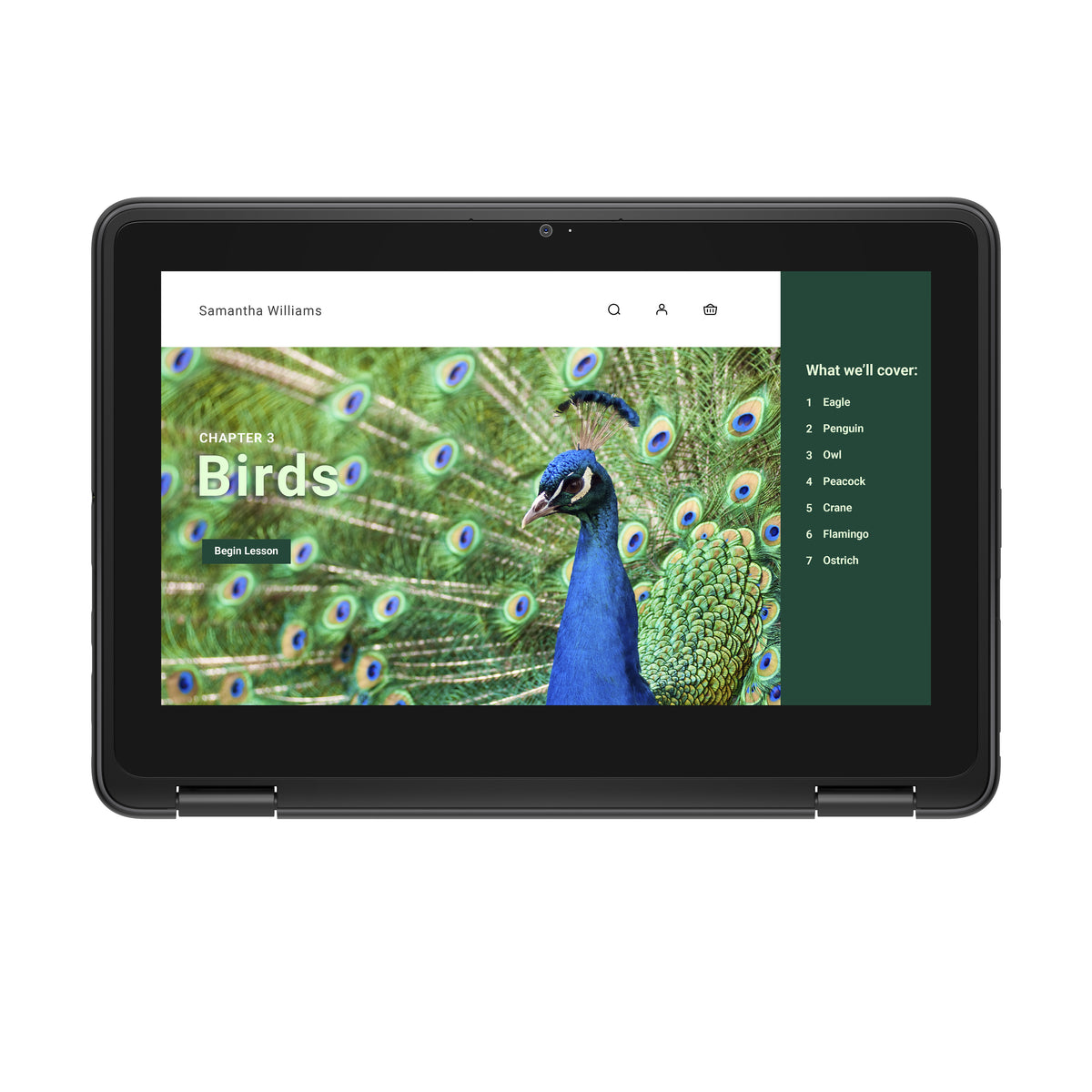 DELL Chromebook 3120 2-in-1, Intel N100, 11.6" Écran Tactile HD, 4 Go LPDDR5, 64 Go eMMC, Wi-Fi 6, ChromeOS, Noir