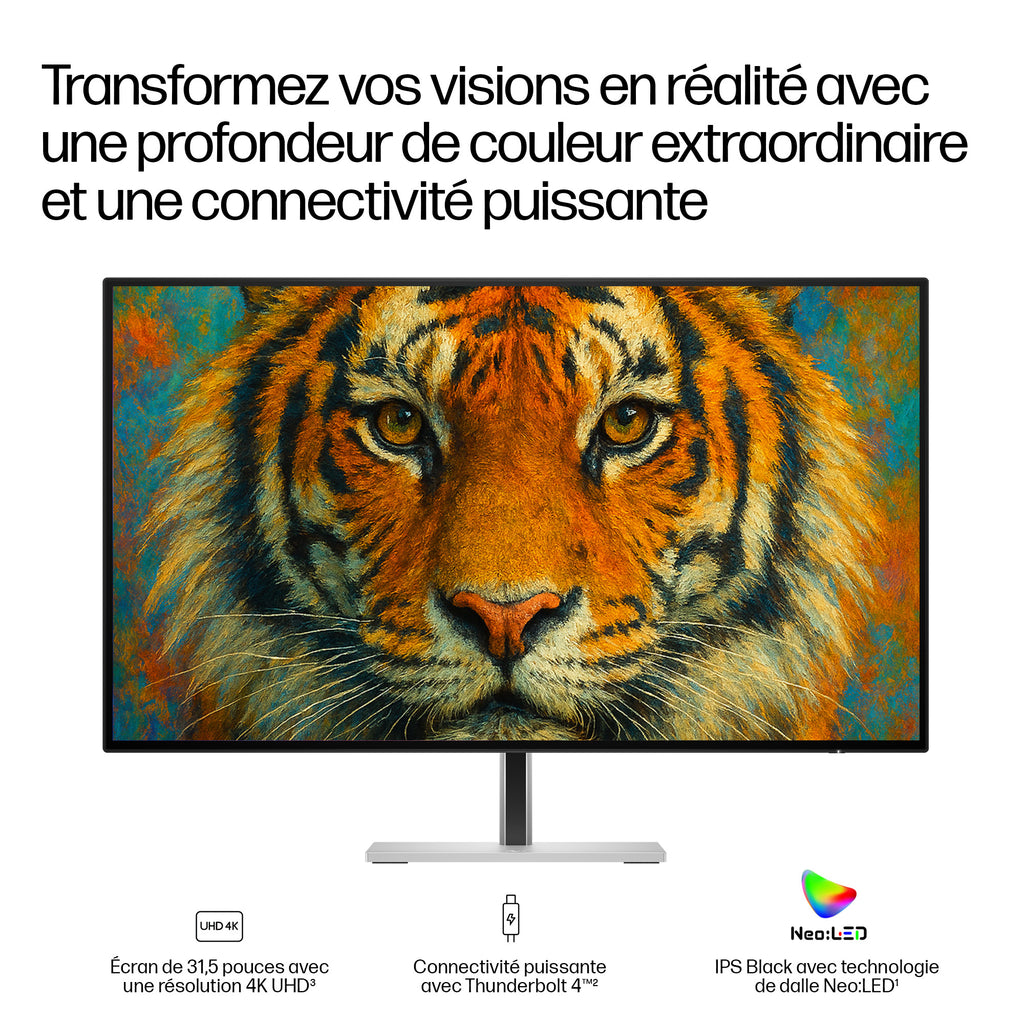 HP Series 7 Pro Écran Station d'Accueil Thunderbolt 4 31,5 pouces 4K - 732xk