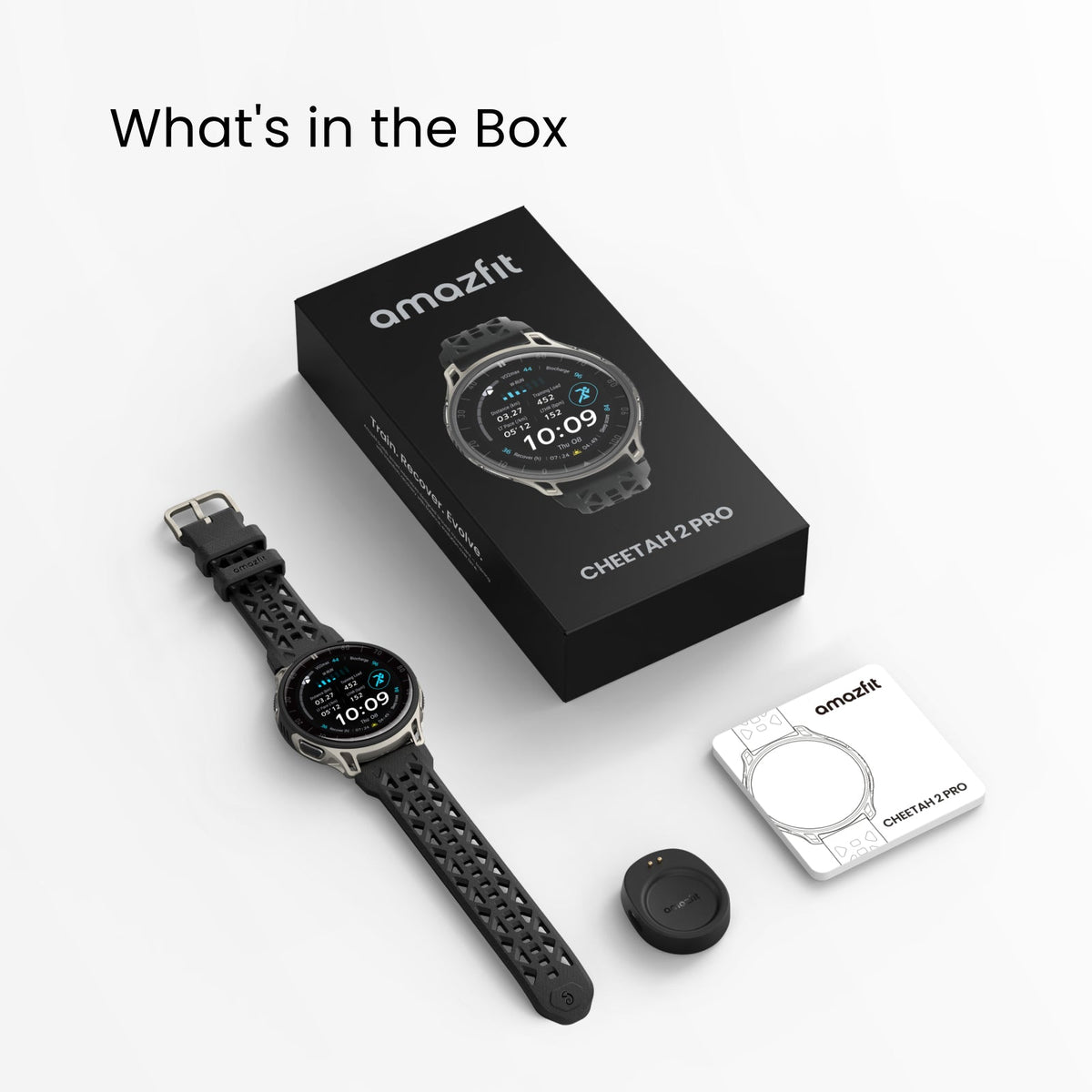Amazfit Cheetah 2 Pro, Écran AMOLED 1.32" 48 mm, Titane, Wifi, 466 x 466 pixels