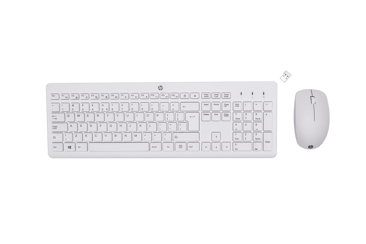 HP Ensemble Clavier et Souris Sans Fil 230