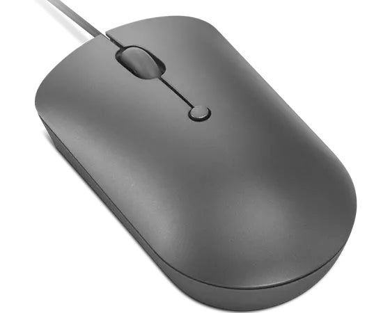 Lenovo 540 souris Bureau Ambidextre USB Type-C Optique