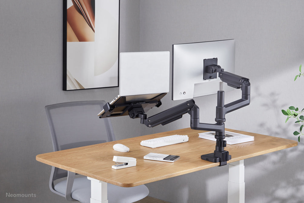 Neomounts ADS20-425BL1 Support d'ordinateur portable 11.6-17.3" - VESA - universel