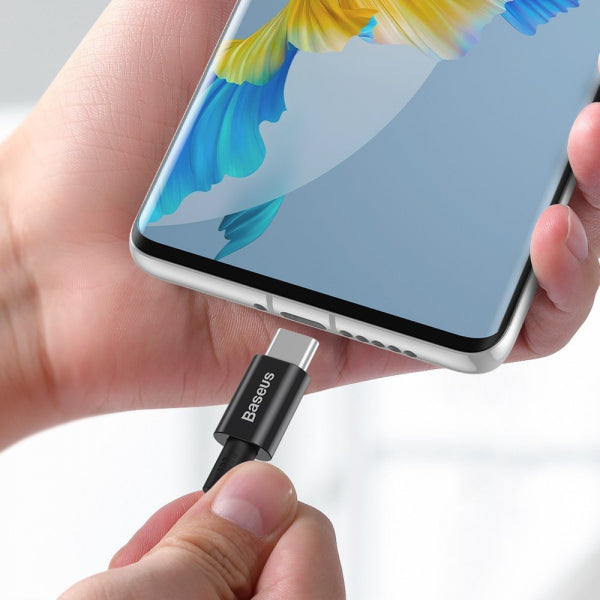Baseus USB-C to USB-C Cable Superior Series, 100W, 5A, 2m, Black CATYS-C01