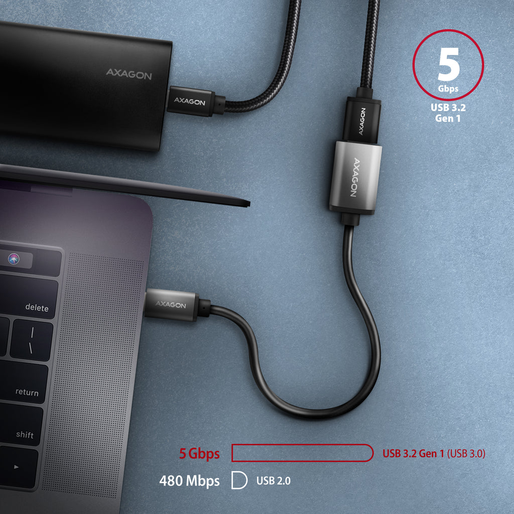 Axagon RUCM-AFAC changeur de genre de câble USB C USB A Gris