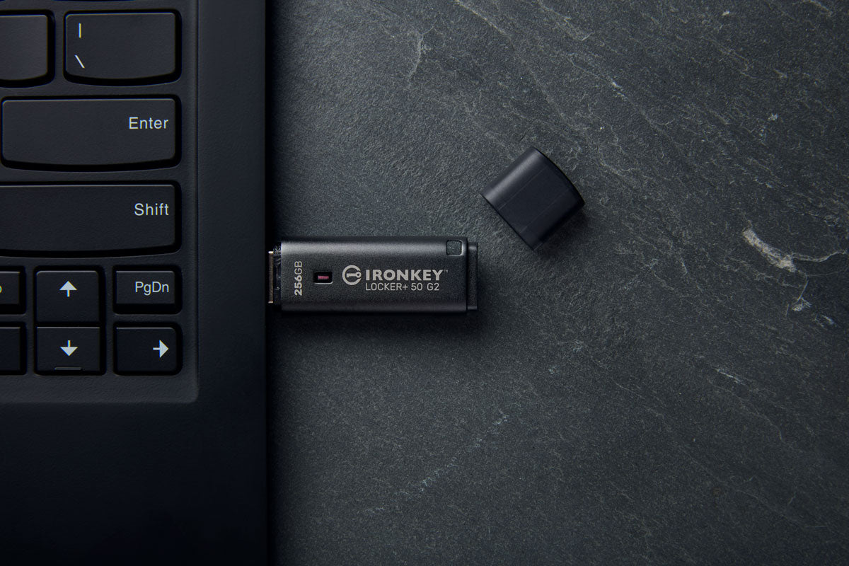 Kingston Technology IronKey Locker Plus 50 G2 256 Go, FIPS 197, AES-256