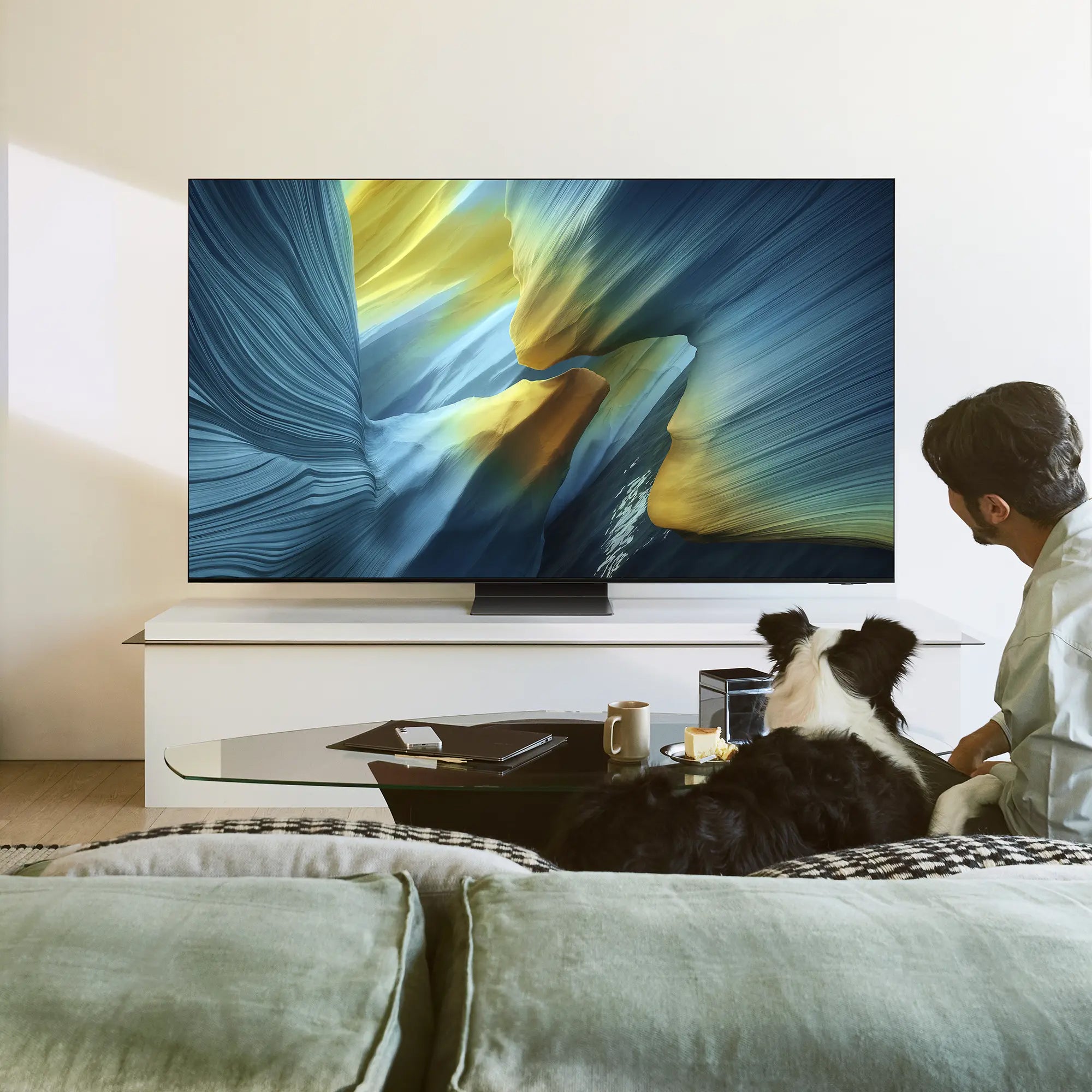 Samsung QE65S95FAT 165,1 cm (65") 4K Ultra HD Smart TV Wifi Noir