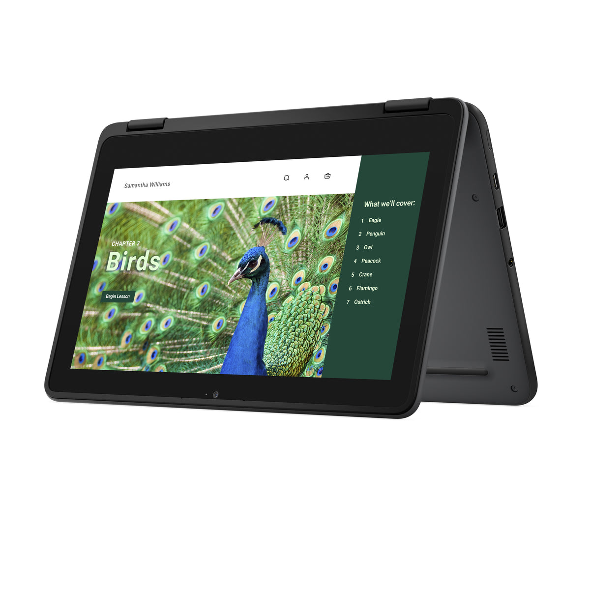 DELL Chromebook 3120 2-in-1, Intel N100, 11.6" Écran Tactile HD, 4 Go LPDDR5, 64 Go eMMC, Wi-Fi 6, ChromeOS, Noir
