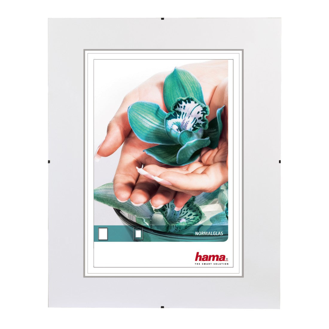 Hama Clip-Fix Cadre pour une seule photo, Transparent