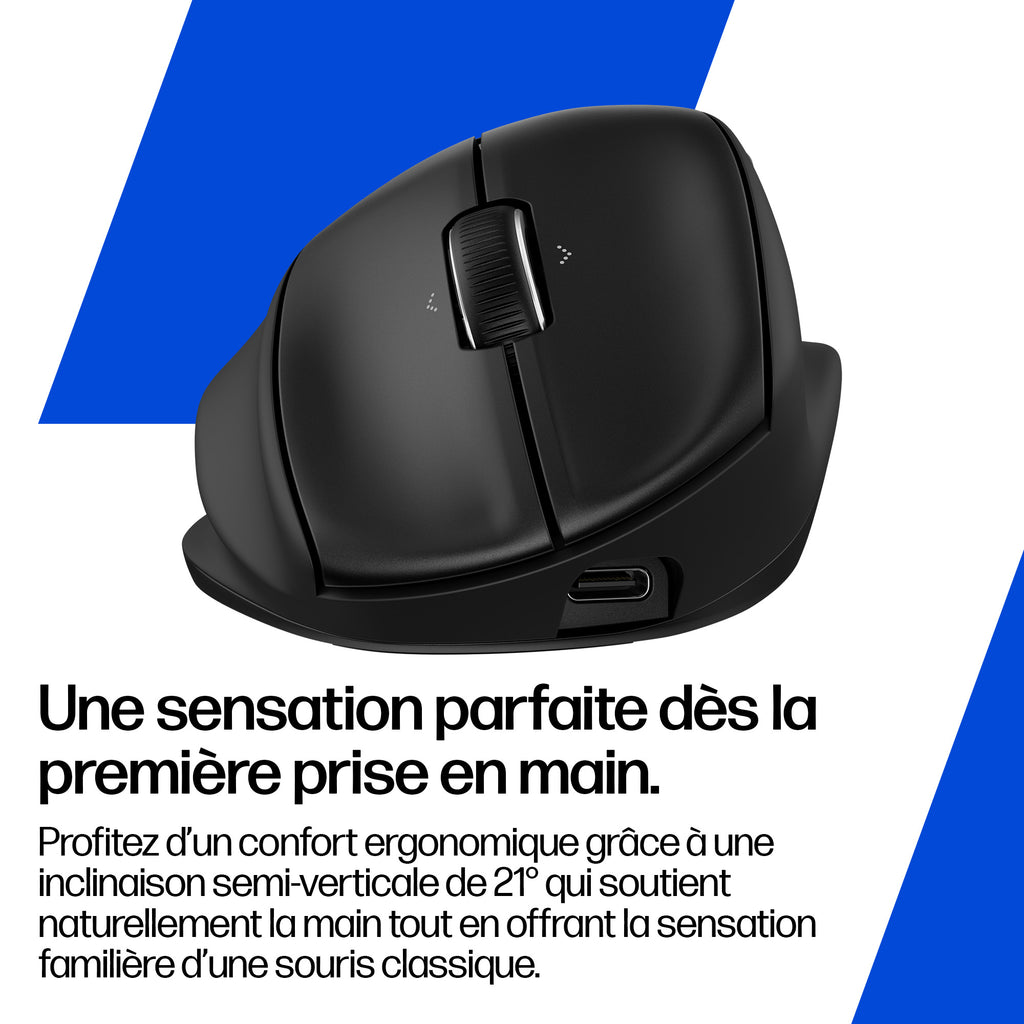 HP Souris ergonomique inclinable 725M