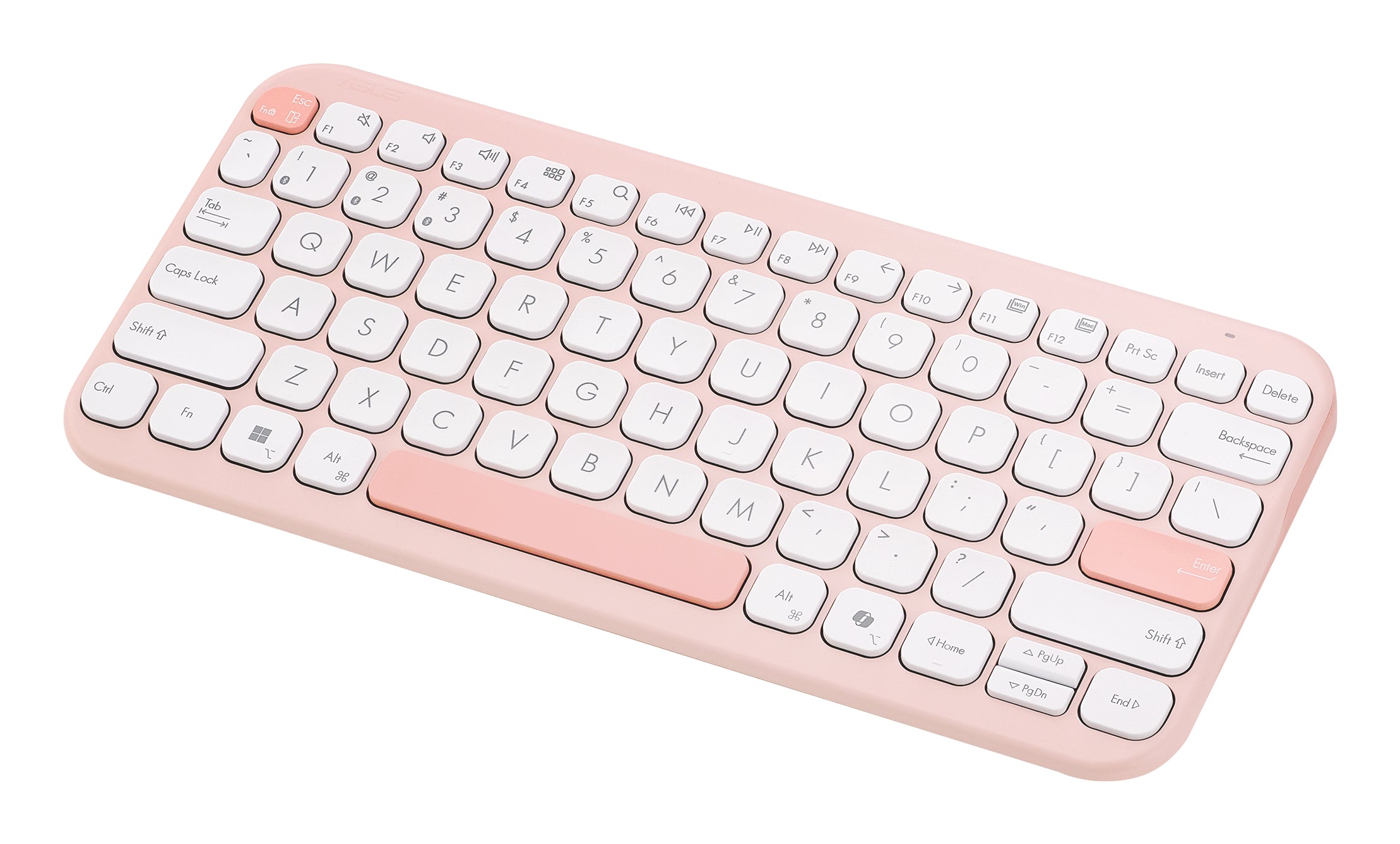 ASUS Marshmallow Keyboard KW100 clavier Maison Bluetooth QWERTZ Allemand Rose