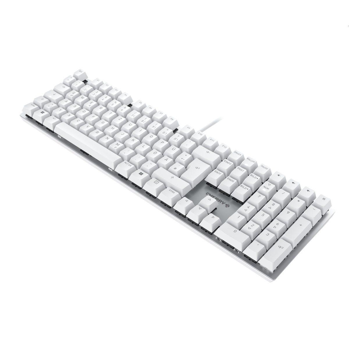 CHERRY KC 200 MX clavier Universel USB QWERTZ Allemand Argent, Blanc
