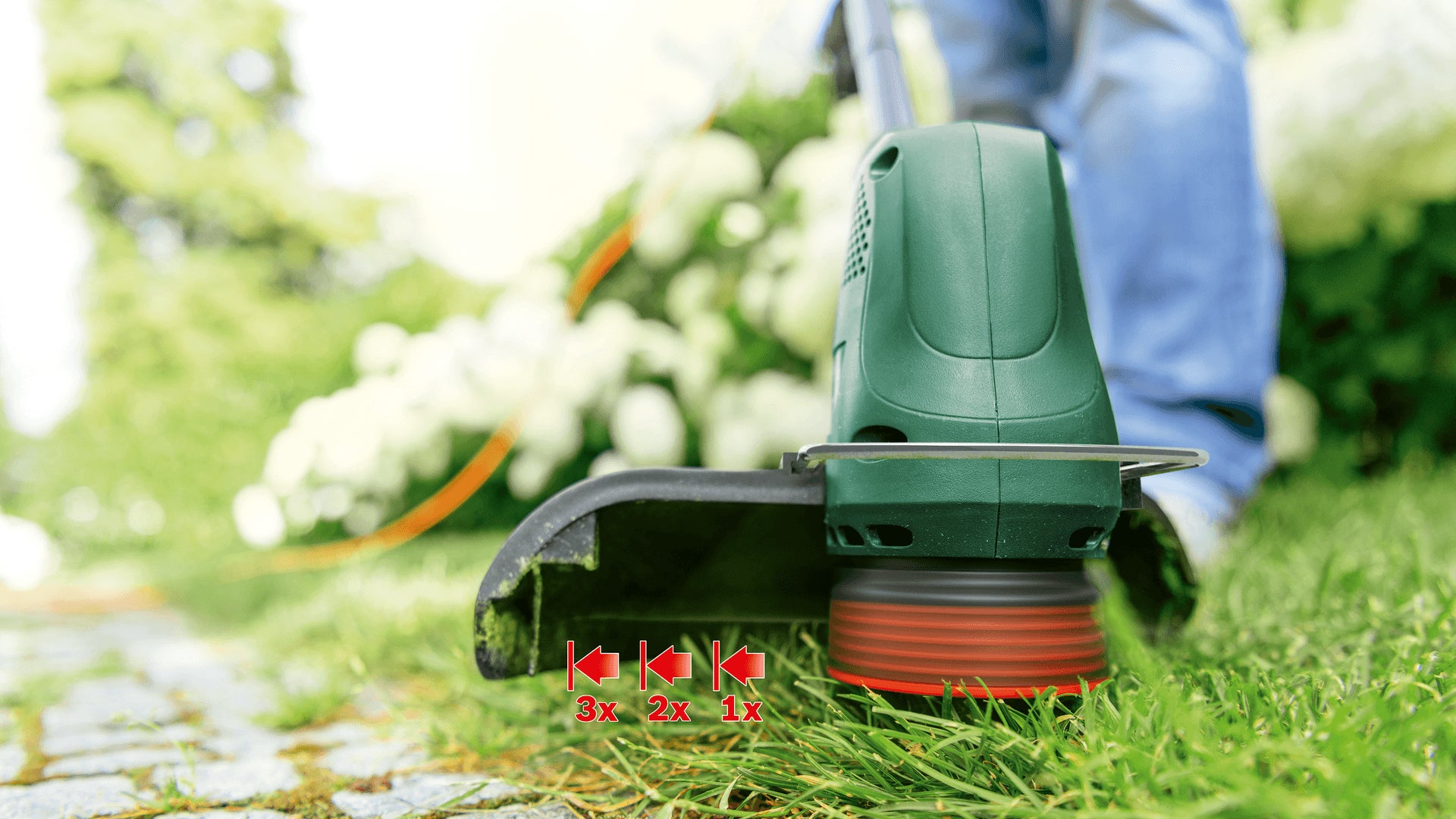 Bosch Bosch EasyGrassCut 23 23 cm 280 W Secteur Noir, Vert
