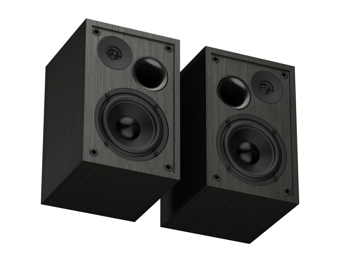 Haut-parleur NGS-2343 Noir, Filaire et Sans Fil, 20 W