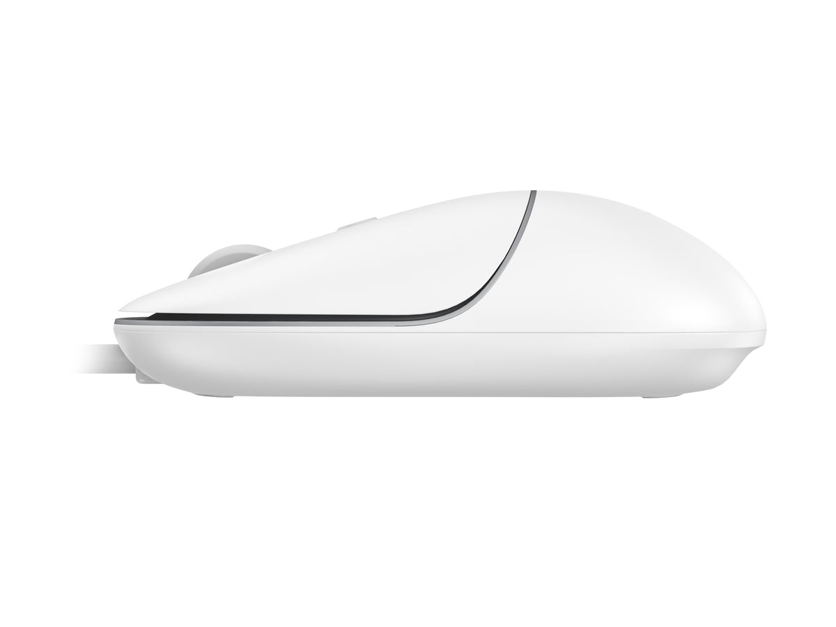 Conceptronic REGAS02W souris Universel Ambidextre USB Type-C Optique 2400 DPI