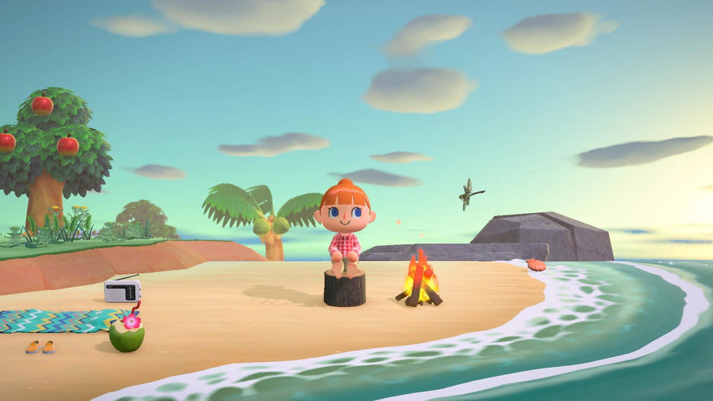 Nintendo Animal Crossing : New Horizons Standard Nintendo Switch