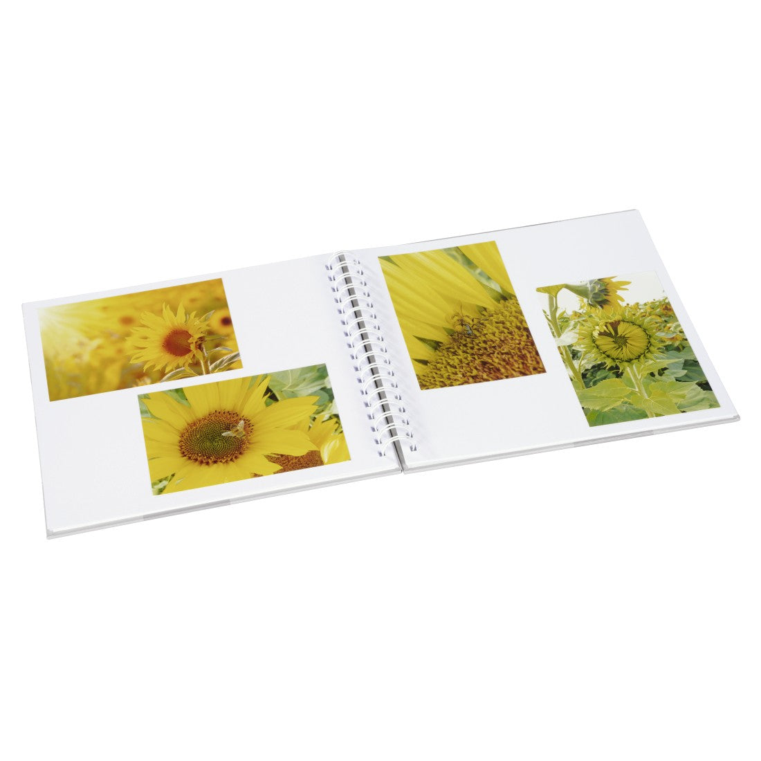 Hama 00002651 Album Photo avec Protège-pages, Multicolore, 100 Feuilles, 100 x 150mm