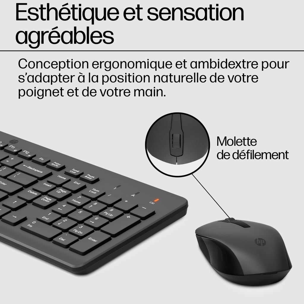 HP Ensemble Clavier et Souris Sans Fil 330, Noir, Disposition QWERTY Anglais