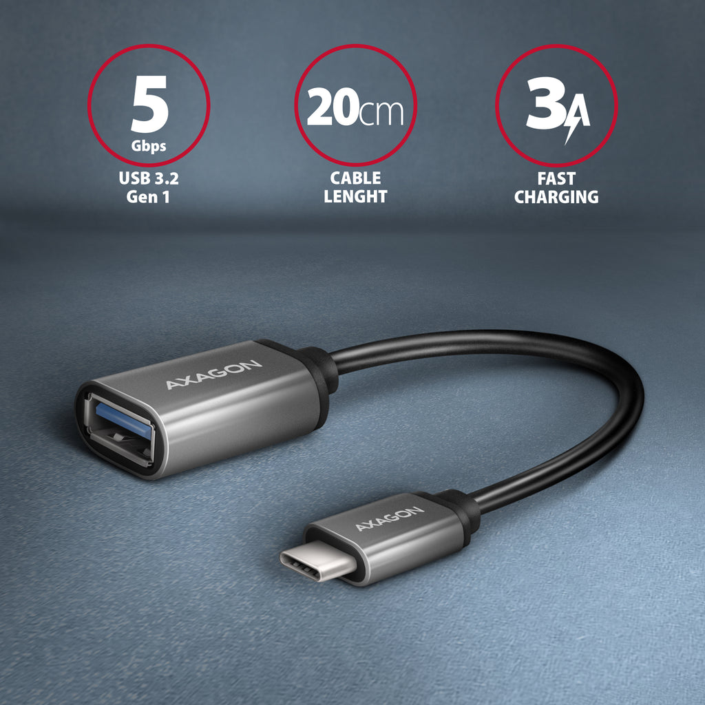 Axagon RUCM-AFAC changeur de genre de câble USB C USB A Gris