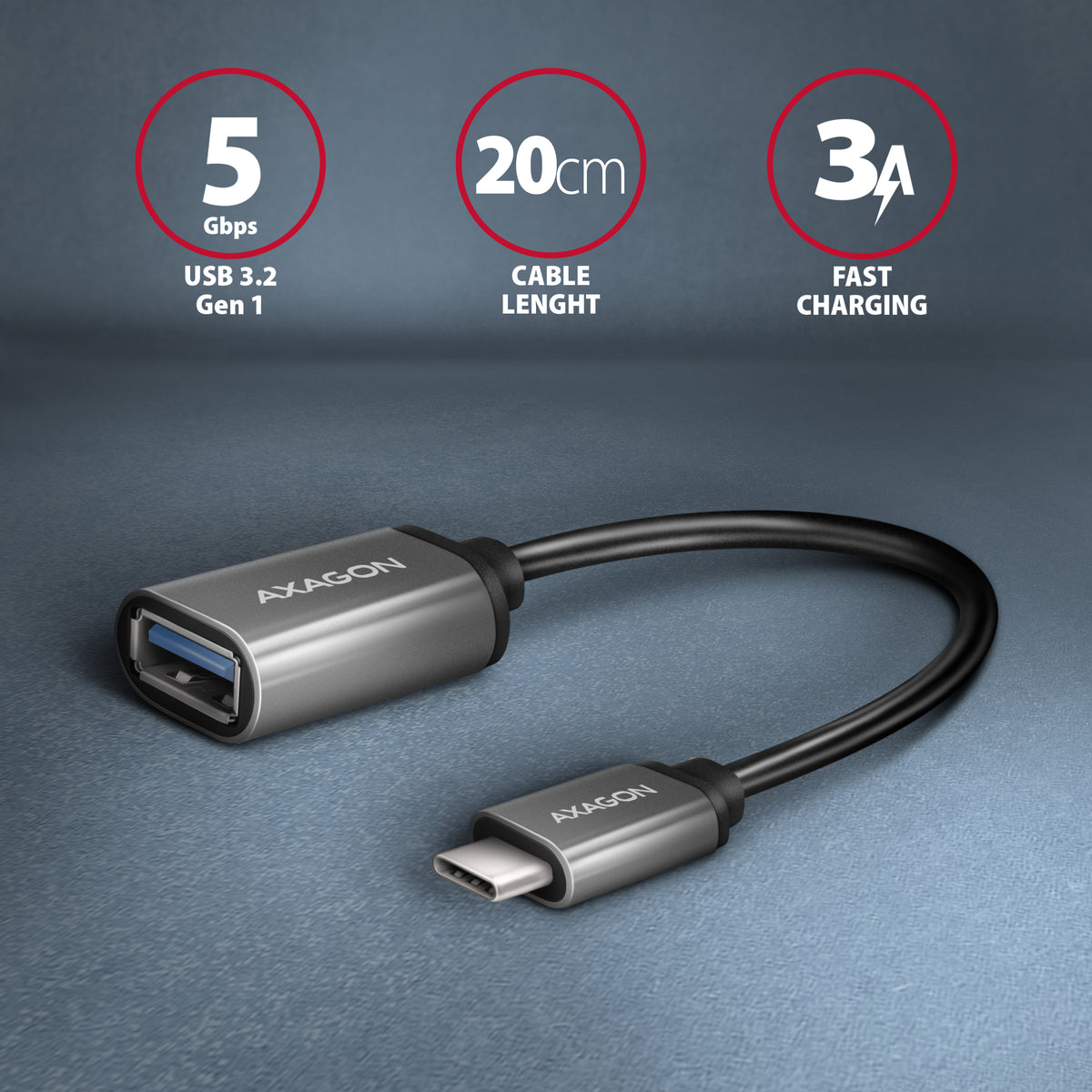 Axagon RUCM-AFAC changeur de genre de câble USB C USB A Gris