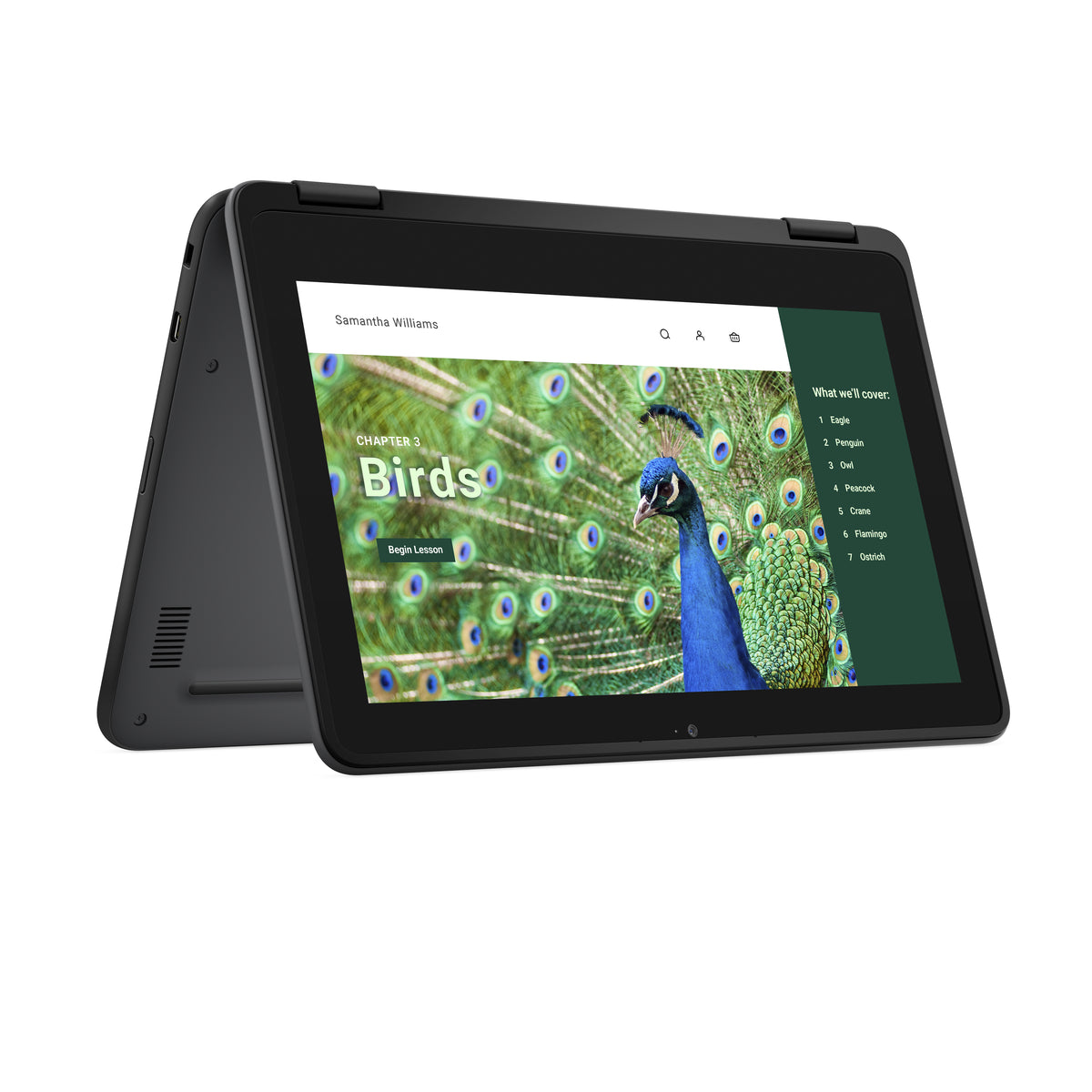 DELL Chromebook 3120 2-in-1, Intel N100, 11.6" Écran Tactile HD, 4 Go LPDDR5, 64 Go eMMC, Wi-Fi 6, ChromeOS, Noir
