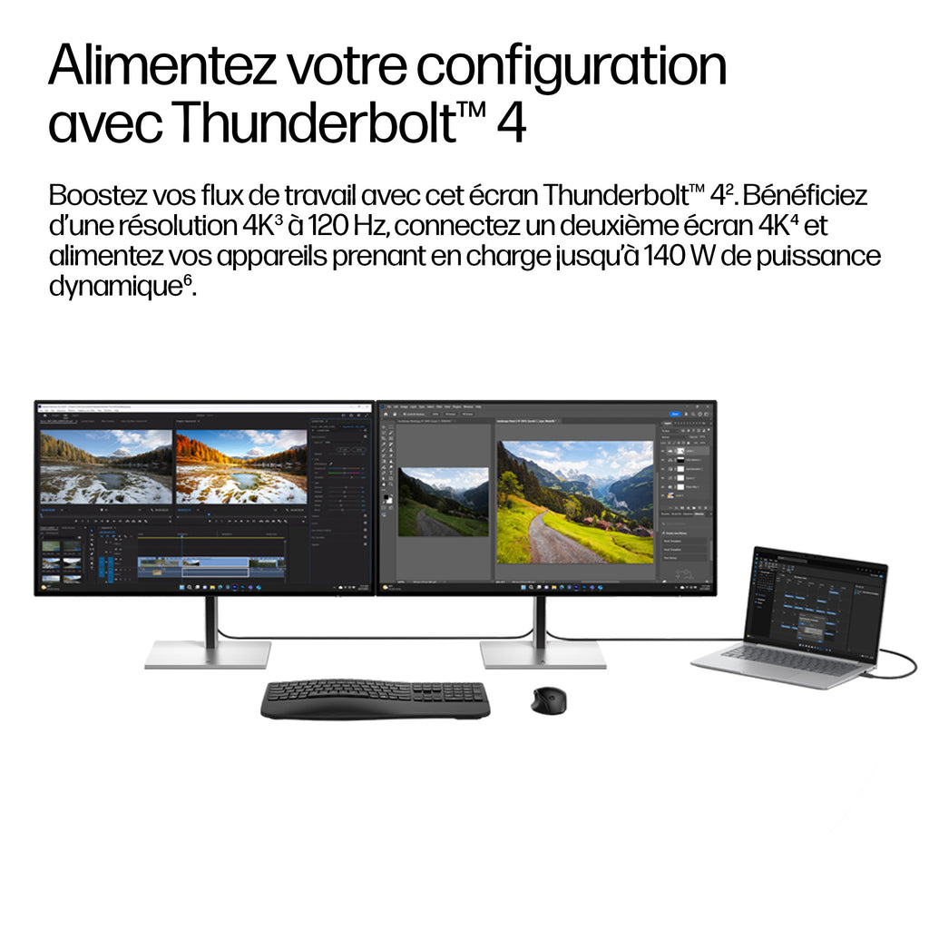 HP Series 7 Pro Écran Station d'Accueil Thunderbolt 4 31,5 pouces 4K - 732xk