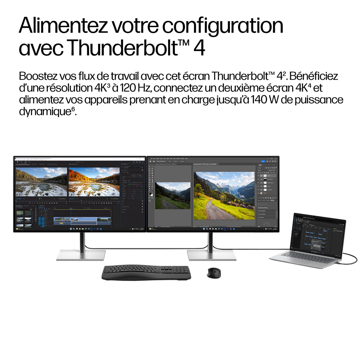 HP Series 7 Pro Écran Station d'Accueil Thunderbolt 4 31,5 pouces 4K - 732xk