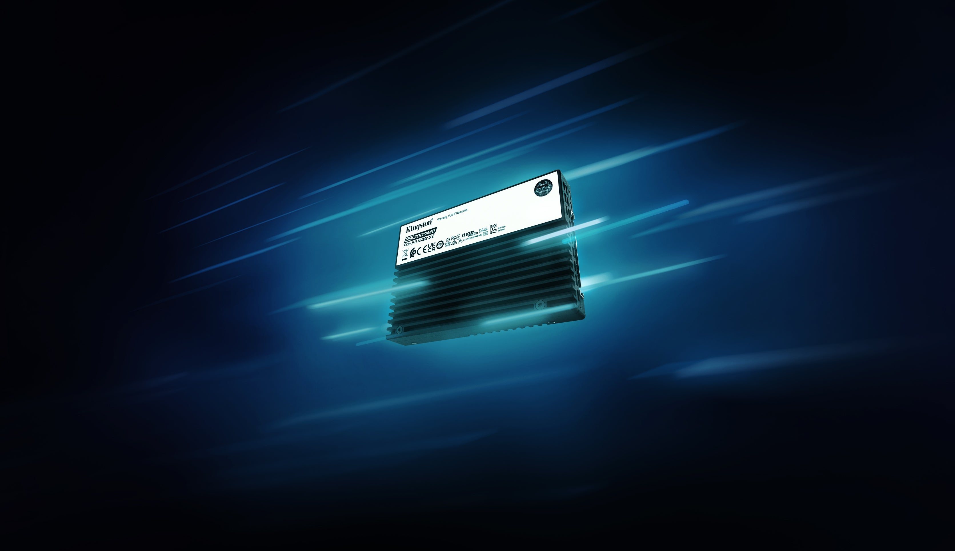 Kingston Technology 7,68TB DC3000ME U.2 PCIe 5.0 NVMe TCG Opal Enterprise SSD