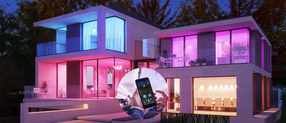 Govee H6009 Ampoule intelligente Wi-Fi/Bluetooth 12 W
