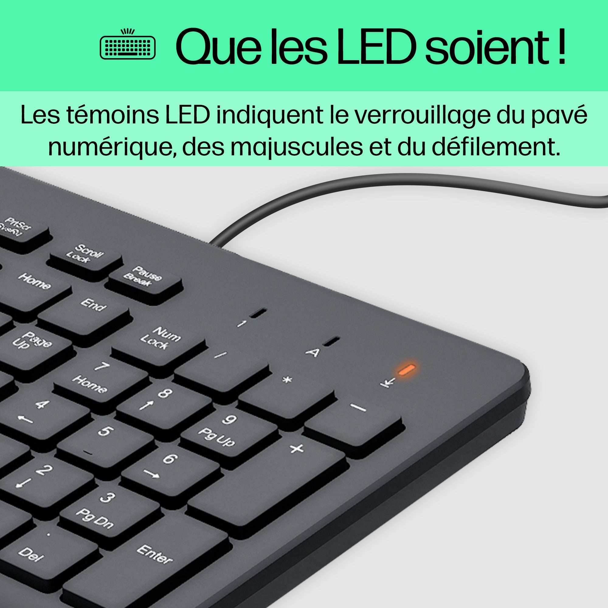 HP Clavier filaire 150