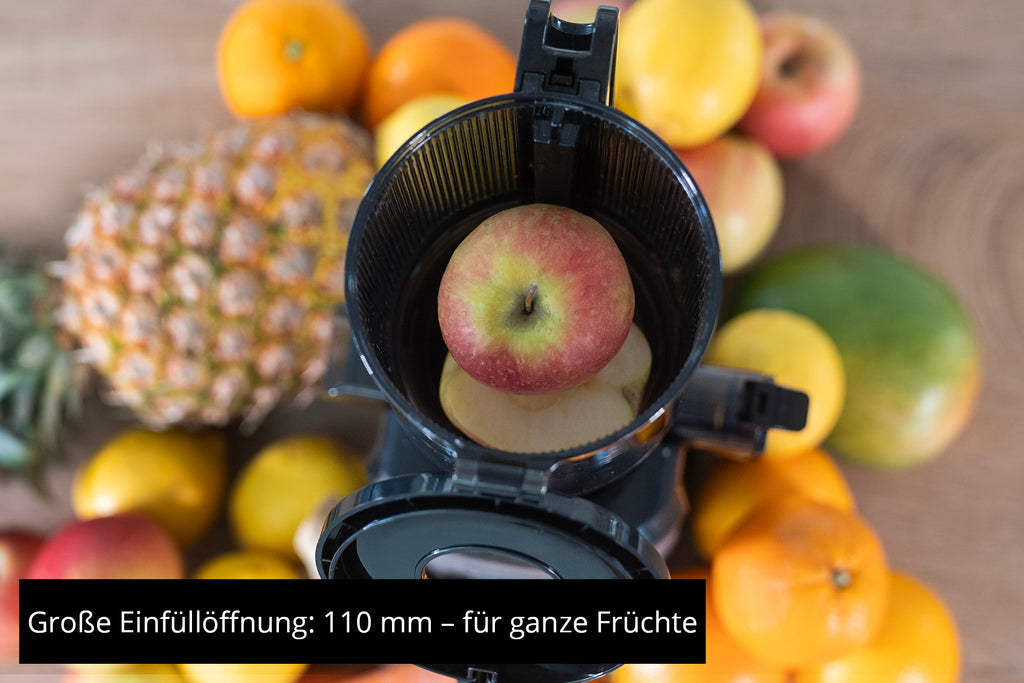 Unold 78275 SLOW JUICER Sam Centrifugeuse lente 300 W Charbon de bois